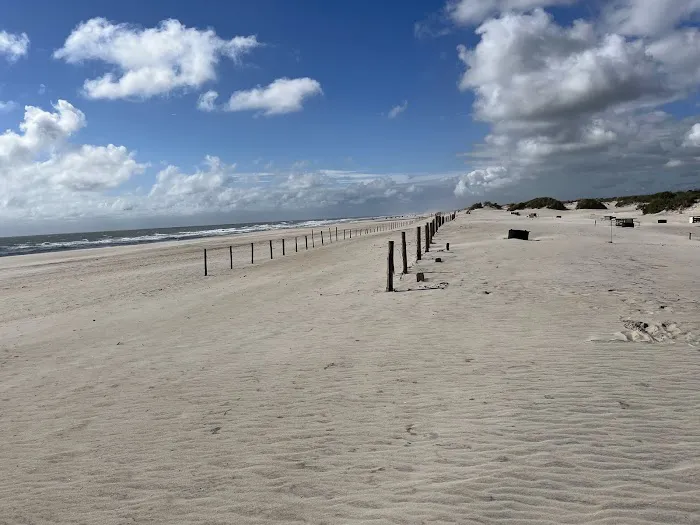 Assateague National Seashore Campground - Spot Bayside B33 Picture 1