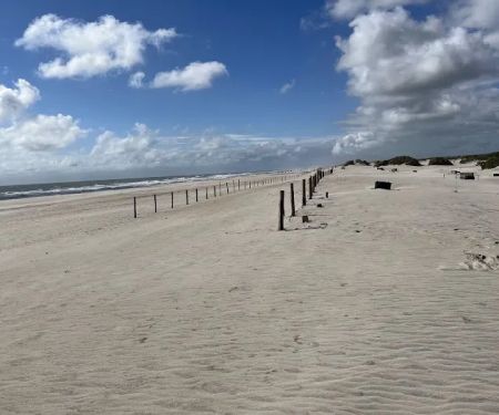 Assateague National Seashore Campground - Spot Bayside B33