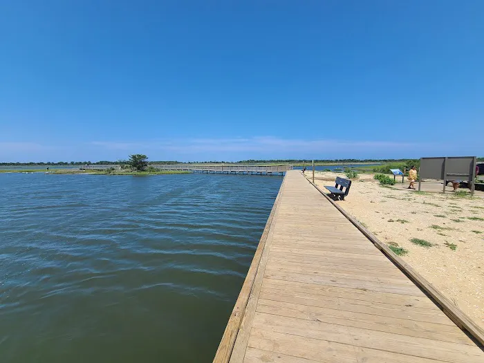 Assateague National Seashore Campground - Spot Bayside B33 Picture 9