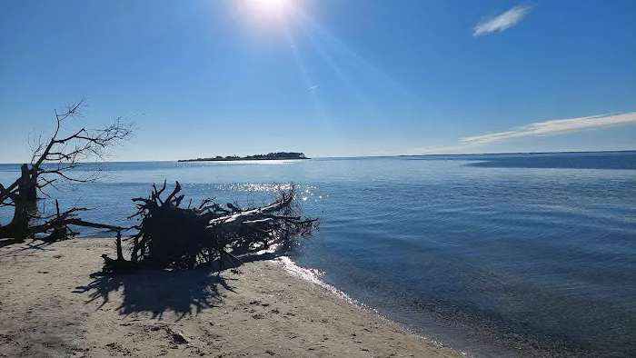Assateague National Seashore Campground - Spot Bayside B33 Picture 4