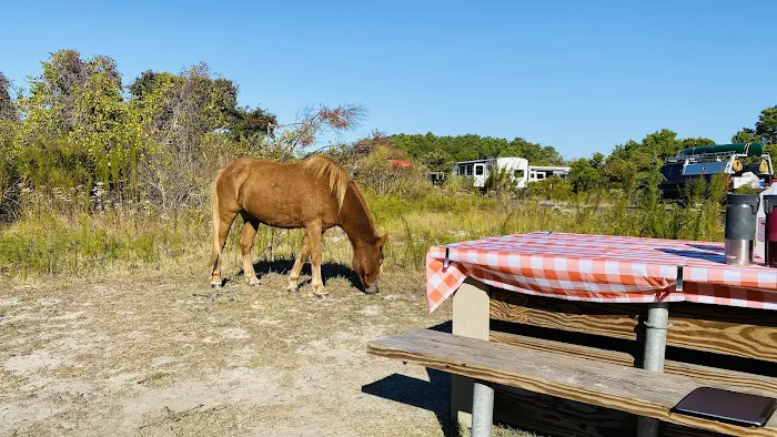 Bayside Drive-in Campground Picture 7