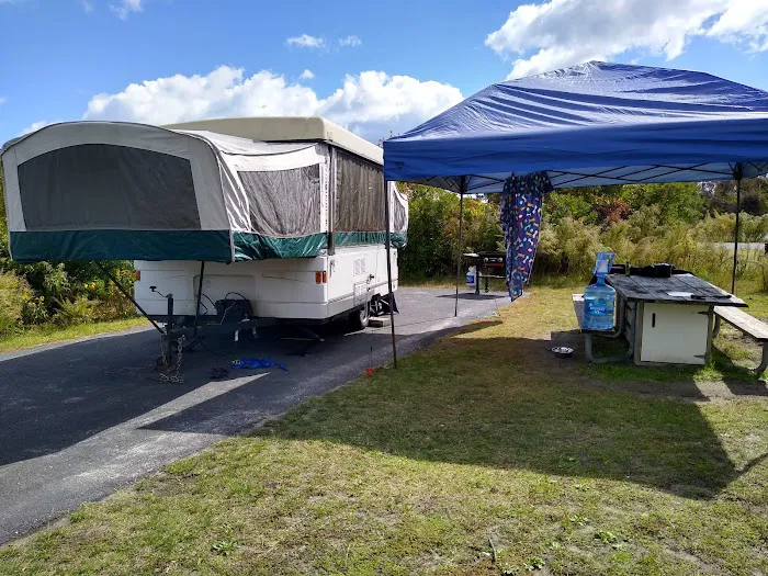 Bayside Drive-in Campground Picture 8