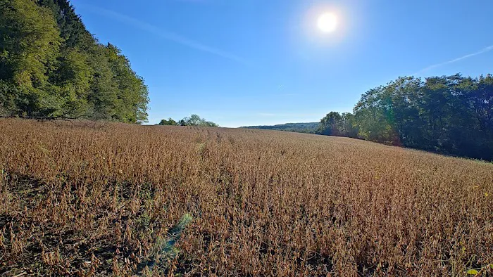 Lake Arthur Estates Picture 6