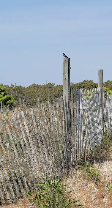 J Loop Tent Sites Entrance Foot Path Picture 1