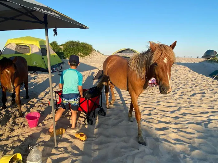 Oceanside Group Campground Picture 5