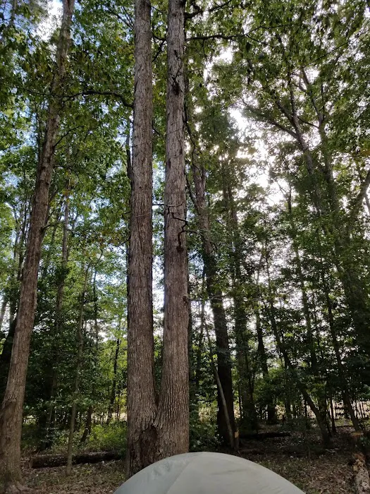 Woodlawn Campground Picture 5