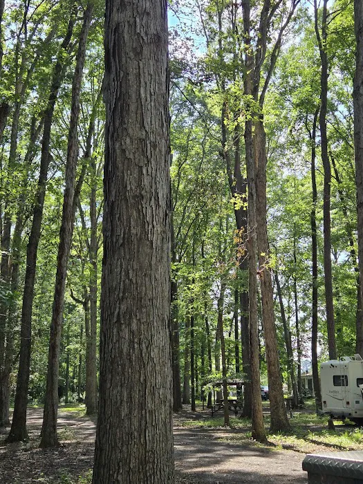 Woodlawn Campground Picture 9