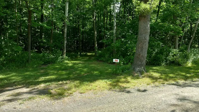 Back-Achers Campsite Picture 10