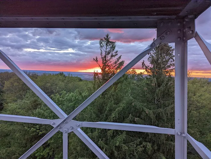 Sugar Hill Fire Tower Picture 9