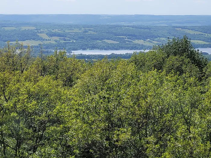 Sugar Hill Fire Tower Picture 4