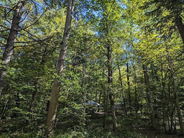 Ferenbaugh Campground Picture 7