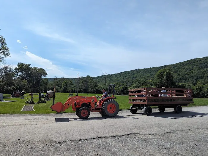 Ferenbaugh Campground Picture 8