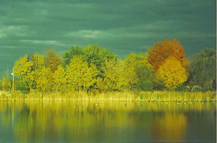 Cass Lake Mobile Home and RV Park Picture 3