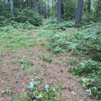 Schroon River Campsites Inc ico