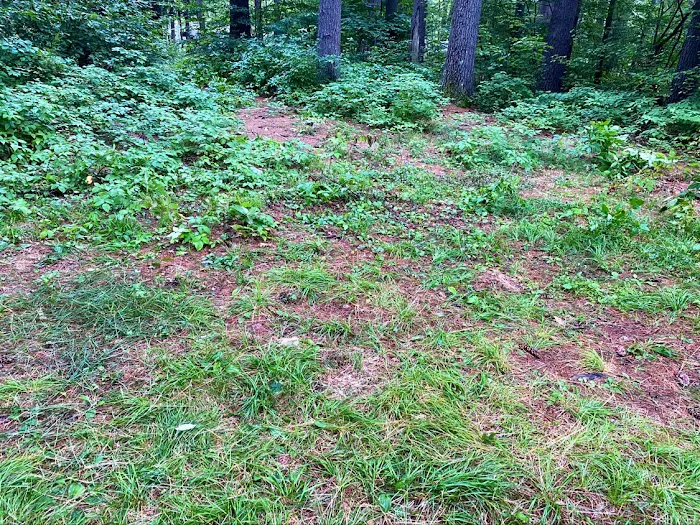 Schroon River Campsites Inc Picture 5