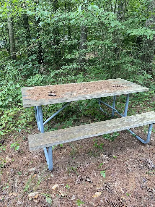 Schroon River Campsites Inc Picture 2