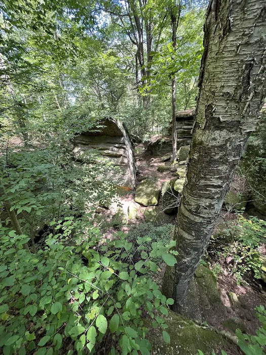 Nelson Ledge Estates Picture 4
