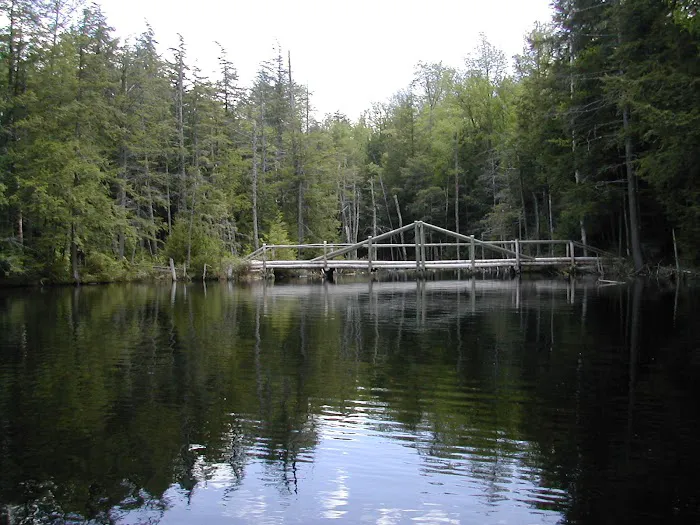 Dippikill Wilderness Retreat Picture 5