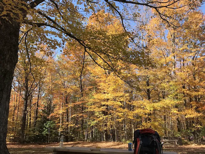 Dippikill Wilderness Retreat Picture 10