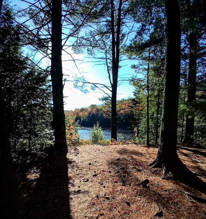 Dippikill Wilderness Retreat Picture 6