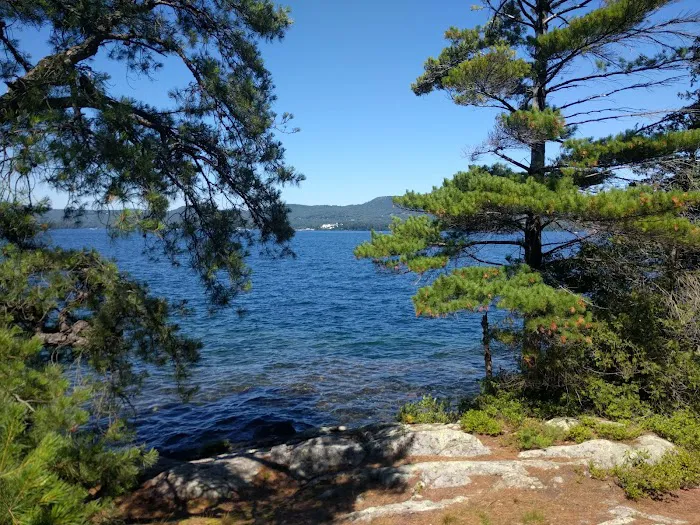 Huckleberry Island Campground Picture 6