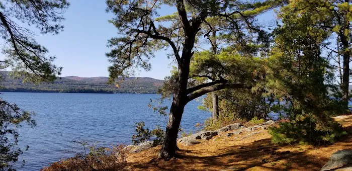Huckleberry Island Campground Picture 1