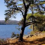 Huckleberry Island Campground