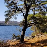 Huckleberry Island Campground ico