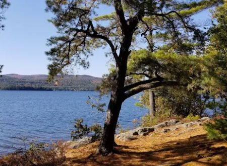 Huckleberry Island Campground