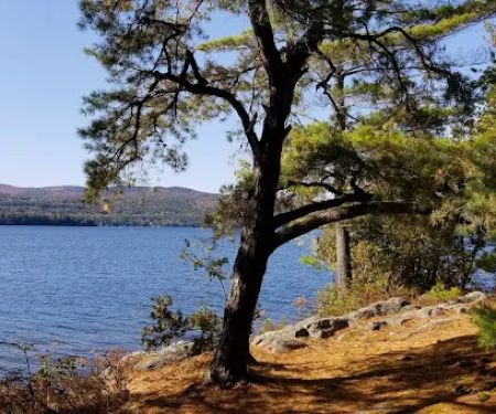 Huckleberry Island Campground