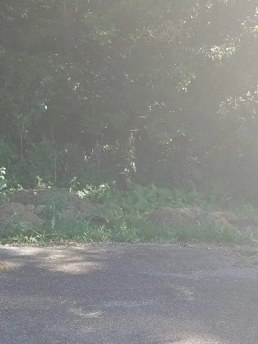 Scenic Mobile Home Park Picture 4