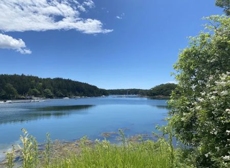 Hermit Island Campground