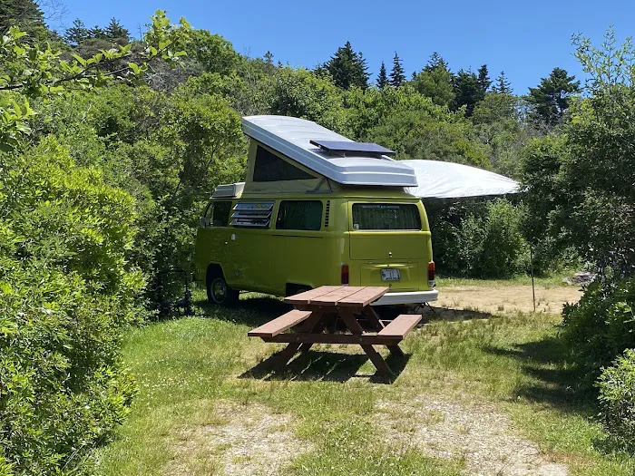 Hermit Island Campground Picture 8