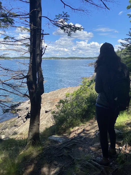 Hermit Island Campground Picture 5