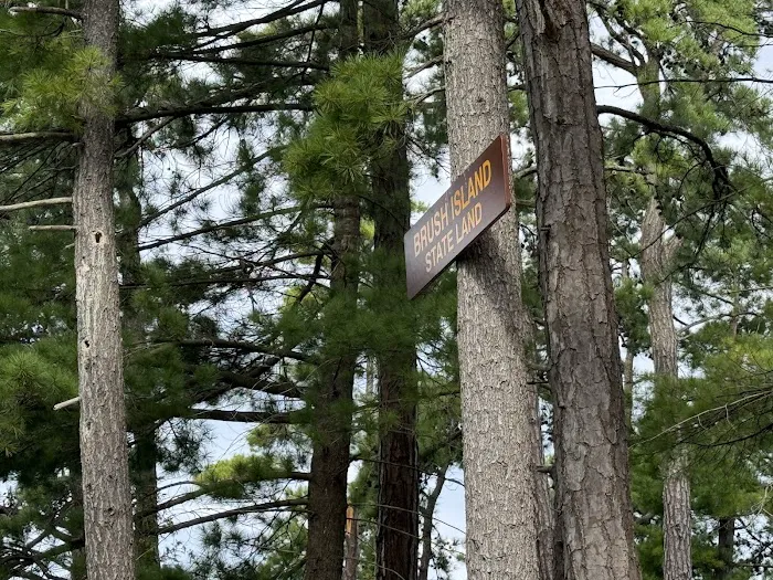 Brush Island Campground Picture 7