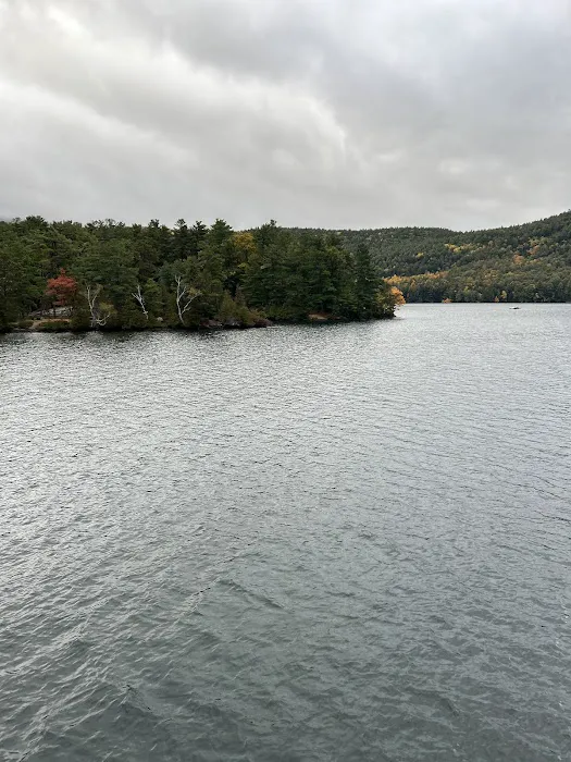 Brush Island Campground Picture 4