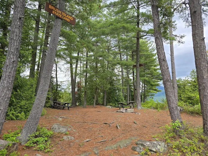Brush Island Campground Picture 9