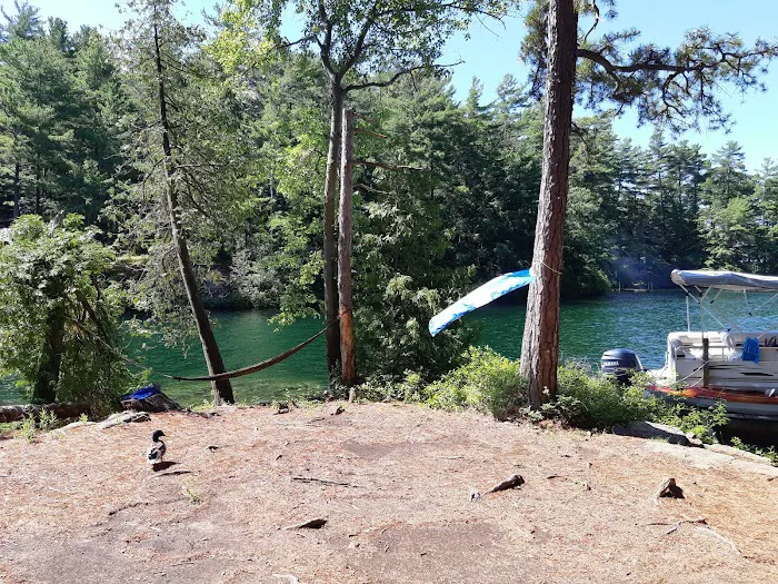 Brush Island Campground Picture 1