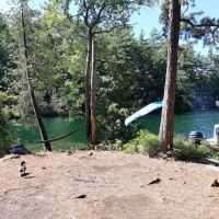 Brush Island Campground ico
