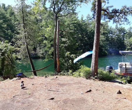 Brush Island Campground