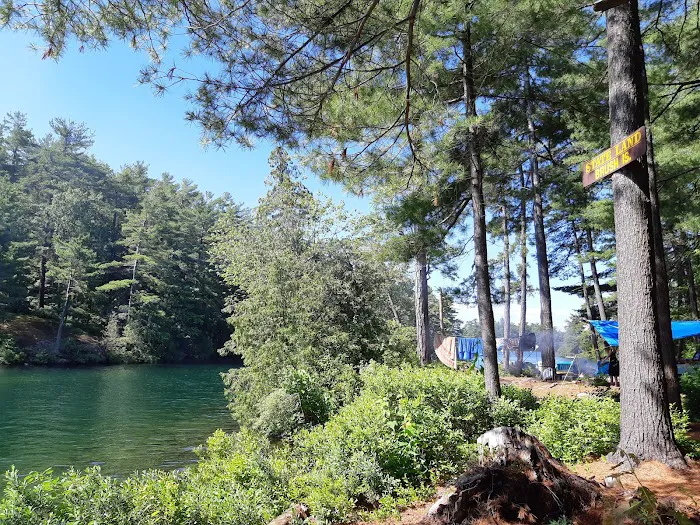 Brush Island Campground Picture 8