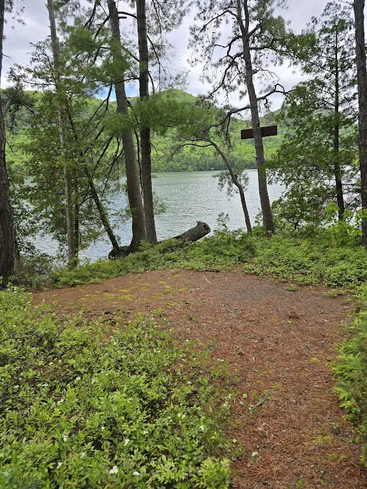 Brush Island Campground Picture 5