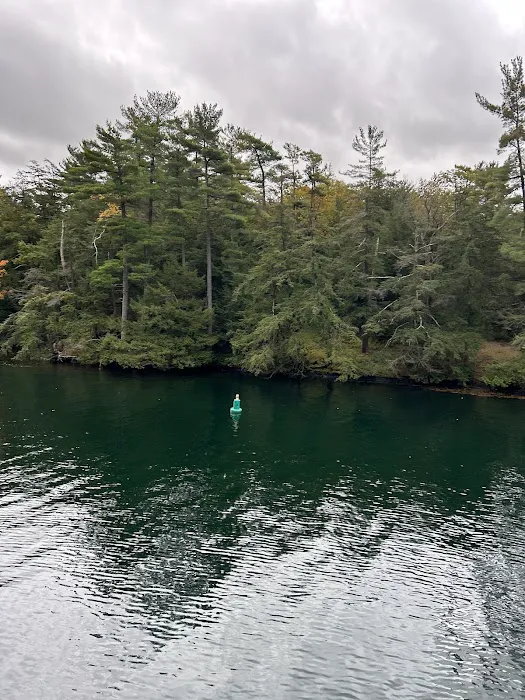 Turtle Island Campground Picture 7