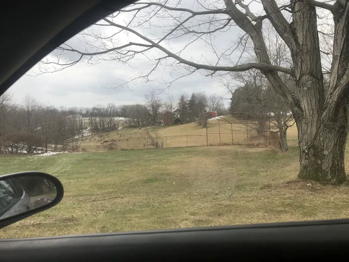 Oak Springs Mobile Home Park Picture 6