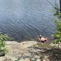 Indian Lake Islands Campground - Campsite #20 ico