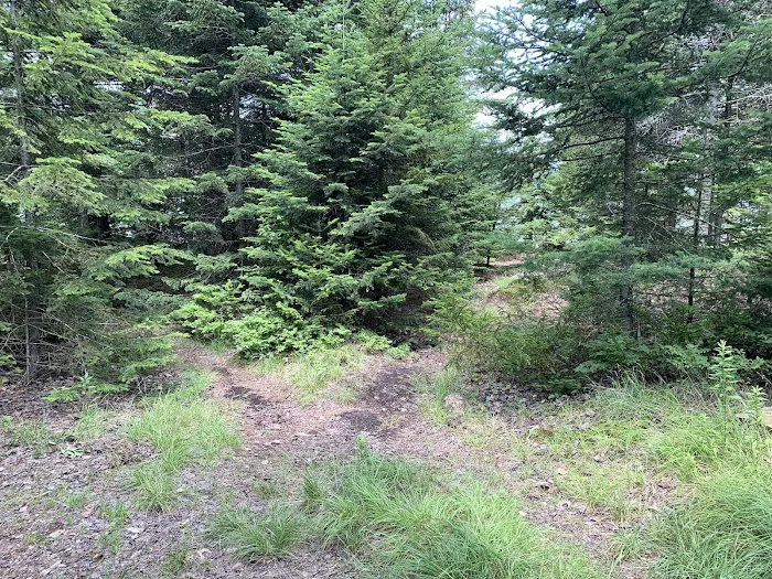 Indian Lake Islands Campground - Campsite #20 Picture 9