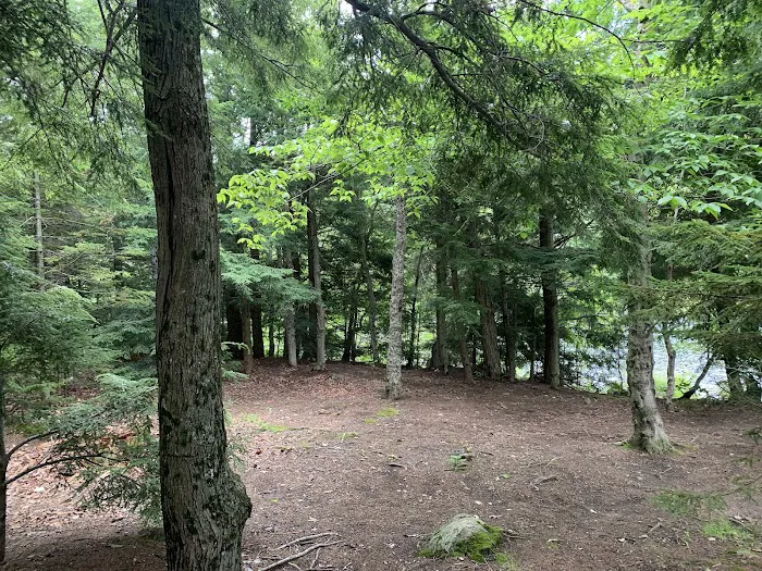 Indian Lake Islands Campground - Campsite #19 Picture 7