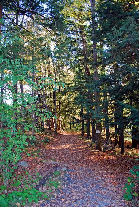 Quechee / Pine Valley KOA Holiday Picture 7