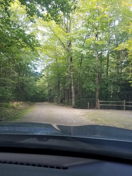 Mt Sunapee State Park Campground Picture 9
