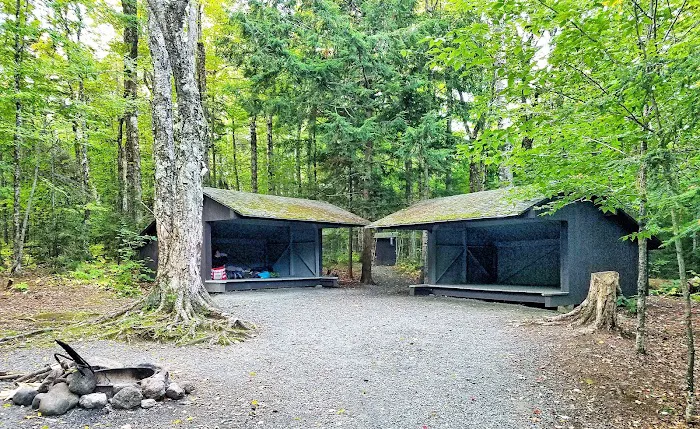 Mt Sunapee State Park Campground Picture 1